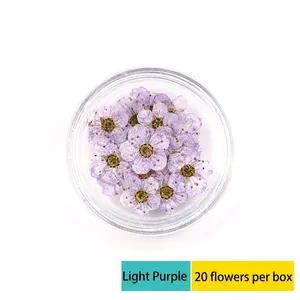 Macro view of light purple dried flowers for nail art in a transparent round storage box