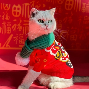 Detail of red knit pet sweater with festive pattern and green pom-pom scarf for cats