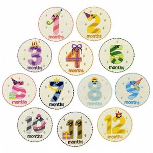 Cartoon Baby Monthly Milestone Embroidery Patches Round Iron On Cloth Appliques For Clothing Decoration Sewing Accessories