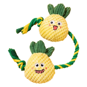 Dog pineapple squeaky rope toy made of durable pineapple fleece for teeth cleaning