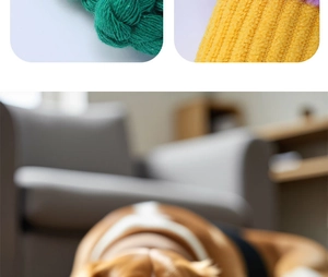 Macro shot of green and yellow knitted pet toy texture with a beagle in the background