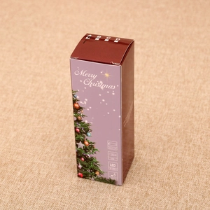 Christmas lantern box detail showing USB or 3xAA battery power and music LED functions