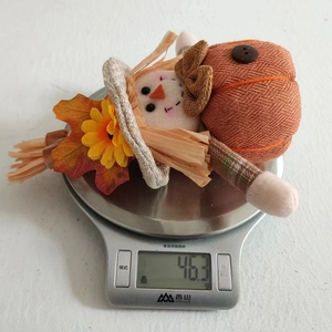 Close-up of autumn gnome pumpkin doll weighing 46.3g on a scale for harvest decor