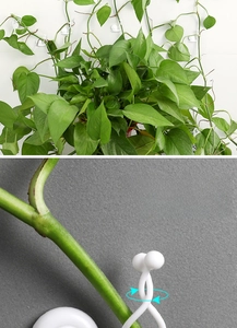 Detail showing white snail-shaped plant clips with 360-degree rotating buckle for vines