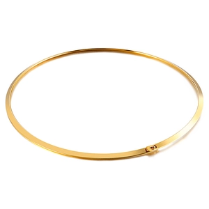 Minimalist 4mm gold titanium steel rigid collar necklace with small clasp on white backdrop