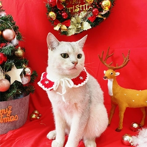 Close-up of a festive red and white knitted pet collar with snowflakes on a white cat