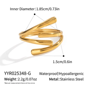 Vue détaillée de la bague en acier inoxydable plaqué or 18K avec poids et dimensions