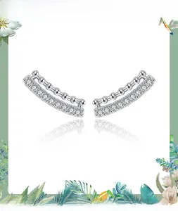 Close-up of 925 sterling silver earrings with double-row micro-set cubic zirconia stones