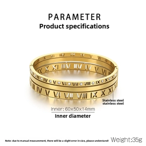 Detail of gold titanium steel bangle with roman numerals and micro-set zircon stones