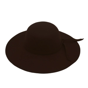 Dark brown wide brim wool felt hat with decorative bow band on white background