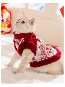 Dettaglio gilet per animali con ricami tradizionali cinesi e finiture in peluche rosso