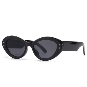 Cat Eye Sunglasses Retro Oval Frame Wide Temples Gold Star Decor UV400 Protection Trendy Y2K Fashion Eyewear