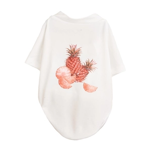White breathable mesh pet T-shirt with tropical pineapple fruit print for cats and dogs