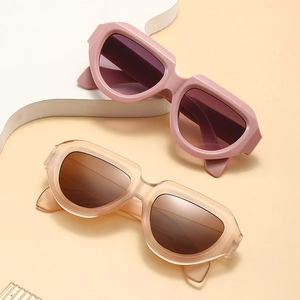 Geometric Irregular Sunglasses Plastic Thick Frame UV400 Protection Streetwear Hip Hop Trendy Fashion For Men Women