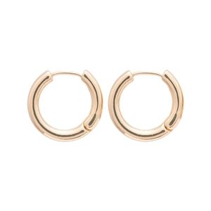 Elegant gold round hoop earrings with high-polish finish and hinged closure for women