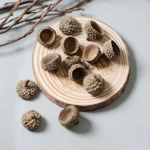 Natural dried acorn caps on rustic wooden tray for autumn handicraft decorations