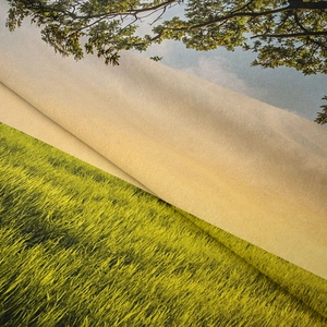 Gros plan sur la texture velours et l'impression nature HD de la tapisserie paysage