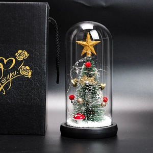 Close-up of a lit mini Christmas tree in a glass dome next to a black floral gift box