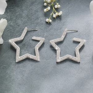 Macro shot of silver S925 star stud earrings with pave-set shimmering zircon details