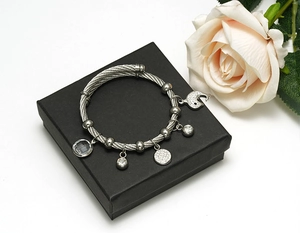 Detailed macro shot of a twisted steel cable bracelet with dolphin and crystal charms