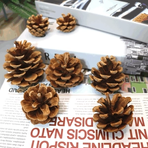 Macro view of natural brown pine cones for Christmas decor and DIY crafts on a magazine