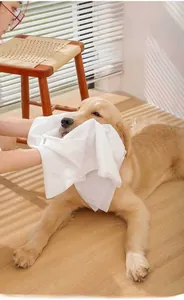 Close-up of thick white disposable pet towel on a Golden Retriever in cozy home lighting