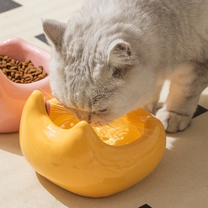 Cute cat-ear ceramic elevated bowls in yellow and pink for food and water