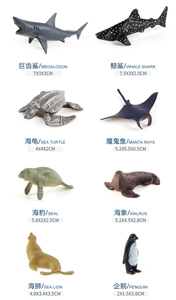 Ensemble d'animaux marins éducatifs détaillés avec textures et dimensions précises