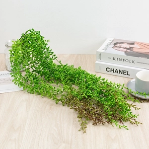 Hanging artificial succulent pearls plant with realistic green vines on wooden background