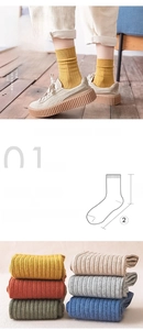 Detailed knit texture of ribbed mid-calf cotton socks in various earthy autumn colors