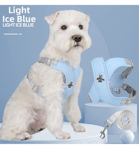Detail of light ice blue breathable mesh pet harness and reflective leash set for dogs