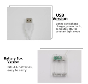 Detailed comparison of USB power plug and AA battery box power options for LED string lights