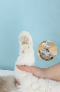 Close-up of pet paw cleaning foam showing before and after care results on a cat's paw