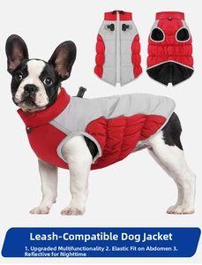 Winter dog jacket detail showing D-ring harness attachment and water-resistant red fabric