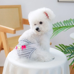 Detail of grey striped dog physiological pants with lace trim and pink bow on a white Bichon