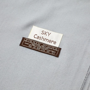 Detailed view of women's solid color winter warm cashmere scarf fabric and brand label texture.
