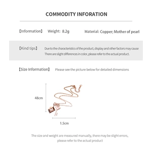 Detailed spec sheet showing 48cm rose gold necklace with camera and key charms