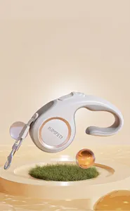 Detail of grey retractable pet leash with rose gold metal ring in a 3D aesthetic scene