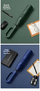 Detail of automatic folding umbrella with D-ring buckle handle in green and blue