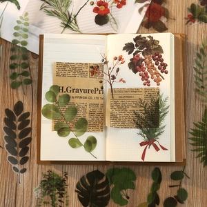 Nature themed PET sticker set with vintage plants and botanical DIY scrapbooking supplies
