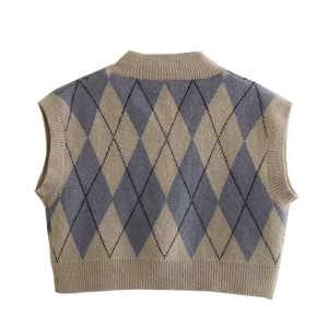 Classic argyle pattern knitted vest in light brown and blue, back view on white background