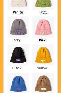Detailed catalog of ribbed knit beanies in multiple colors with letter patches