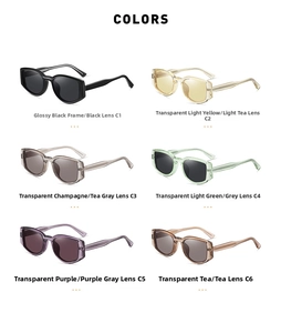 Multiple color options for retro TR90 polarized sunglasses including purple and tea