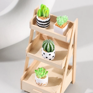 Mini wooden 3-tier rack with assorted potted cacti and succulents featuring Hello text