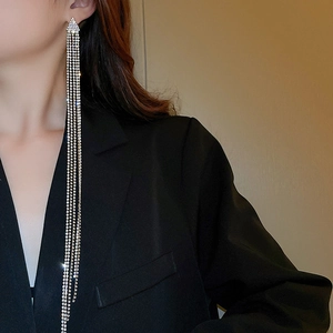 Gros plan détaillé de longues boucles d'oreilles à pompons en cristal sur un mannequin