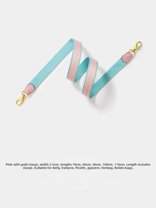 Detail of 2.5cm canvas shoulder strap in pink and blue with gold hardware clasps