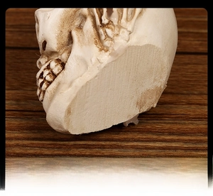 Detail of the flat resin skull base showing polished craftsmanship for stable placement