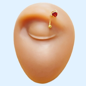 Macro detail of a gold eyebrow ring with red heart-shaped zircon on a model