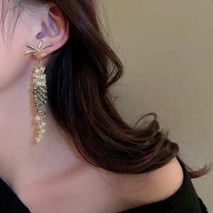 Dettaglio di orecchini a frangia in cristallo con fiocco di strass floreali eleganti