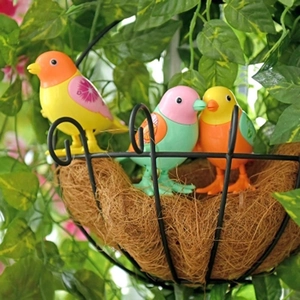 Détail d'un panier suspendu en métal avec doublure en coco et trois oiseaux colorés